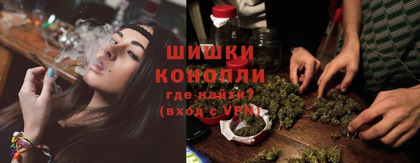 твердый Богородск