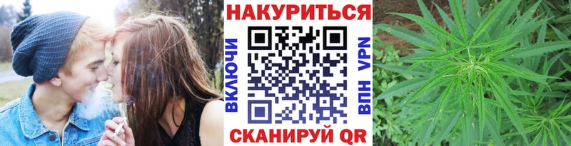 Бошки марихуана OG Kush  Ильский 